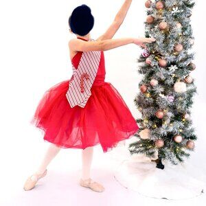 Girls Red Ballet Costume (Weissman)